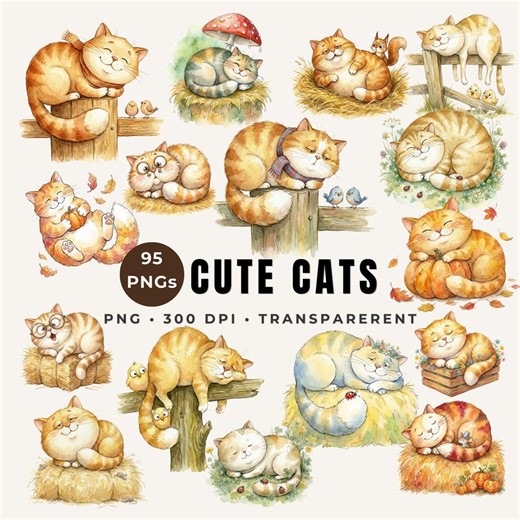 Cute Cat Clipart Bundle PNG Watercolor Cats Transparent Background 300 DPI Animal Clip Art for Sublimation Stickers Pack - Etsy