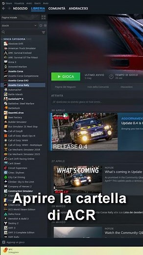 Come mettere le skin su Assetto Corsa Rally