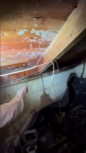 Crawl Space Mold Removal & Disinfection