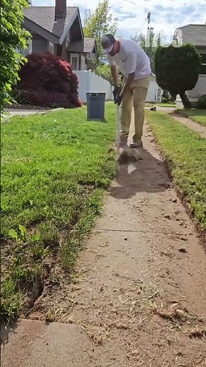 Transform Your Garden with Sharp Edging & Mulch