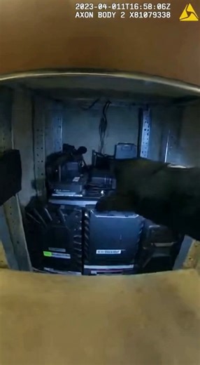 179K views · 28 reactions | Charlotte, NC — A bodycam video released...