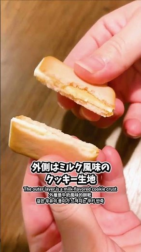 Okayama Must-Visit! Okayama Castle, Korakuen & Best Peach Souvenirs