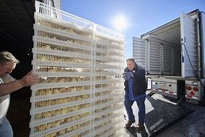 Hatchery equipment that creates superior chick quality - HatchTraveller