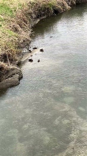 【 観光（癒しの一時を）( ◠‿◠ ) 】#癒し #観光 #beautiful