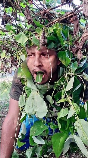 Secret Technique for Catching Parrot #parrot #comedy