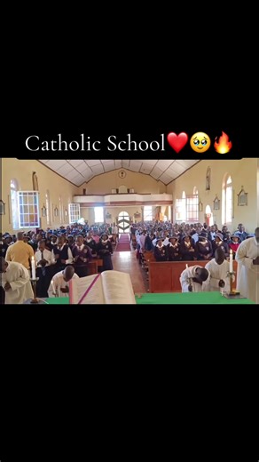 Celebrating Catholic Schools with Heart and Hymns