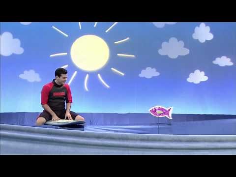 Singing Fish Help Ainsley Catch a Wave