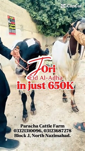 Get Jori in Just 650K! #qurbanvlogs #eiduladha2026