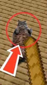 TOP 5 Itens Mais INÚTEIS do Minecraft