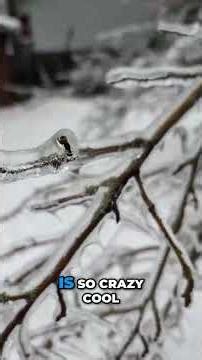 Incredible Ice Storm Melting Nature's Amazing Show!