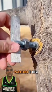 1.3M views · 2.5K reactions | Como fixar um parafuso em madeira de forma rápida e eficiente #FaçaVocêMesmo #DicasDeFerramentas #TrabalhoManual #TutorialDeConstrução #MelhoresPráticas | Real Curiosidades | Facebook