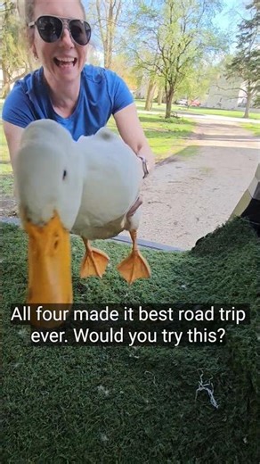 Our Duck Limo