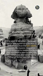 Only the Sphinx head was visible for centuries; what other wonders are waiting to be found? #history #egypt #archaeology | Ancient Media