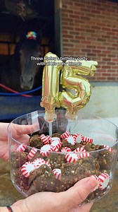 117K views · 4.3K reactions | Happy 15th Birthday, Harley! 拾 | Kentucky Derby | Facebook