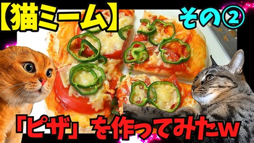 【猫ミーム】美味しい「ピザ」を作ってみたｗ