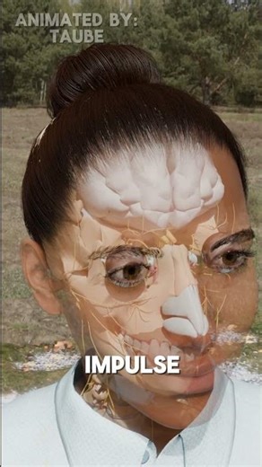 You have more Energy than a Lightning Bolt #shorts #3danimation #facts