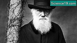 Теория на еволюцията: Определение, Чарлз Дарвин, доказателства и примери 💫 Научно-Популярен Мултимедиен Портал. 2025