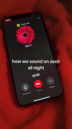 How We Sound on Zestr: A Vocal Exploration