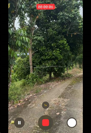 iPhone Stabilization Techniques for Stunning Videos