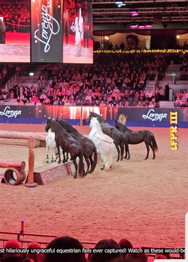 Horse Riding Gone Wrong 🐴🤣 | Liquor In The Front & Poker In The Rear III