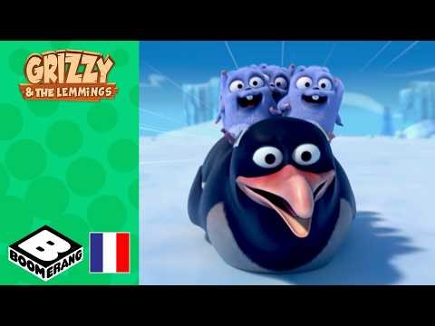 Mon ami le pingouin | Grizzy et les Lemmings ‪@boomerangFR‬