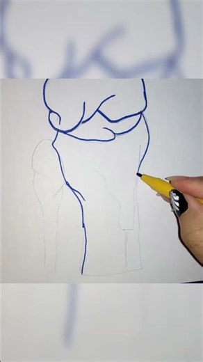 how to draw knee joint November 1, 2025