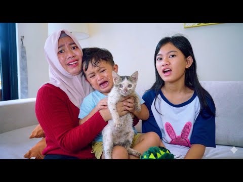 KUCING AZAM KECEBUR GOT 😱 BERSIHIN DAN KASIH MAKAN KUCING