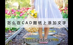 怎么在CAD图纸上添加文字？试试这个方法