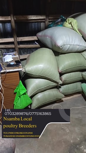 #foryoupage #localpoultryfarming
