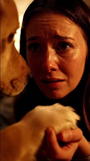 Golden Retriever Comforts Crying Owner 😢💛 The Most Loyal Dog In The World | Emotional Story