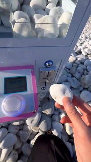 Your Lucky Chance Awaits #ChanceToWin #WinIt #PrizeAlert #WinBig #Giveaway #LuckyDraw #LuckyWinner #Sweepstakes #ContestTime #Freebies | Natalie