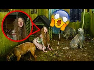 5 ANAK YANG DIBESARKAN OLEH BINATANG