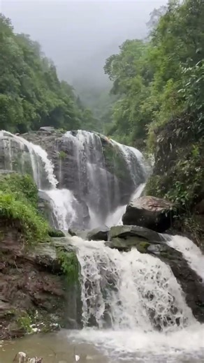 Darjeeling the Queen of the hills #darjeeling #darjeelinghimalayanrailway