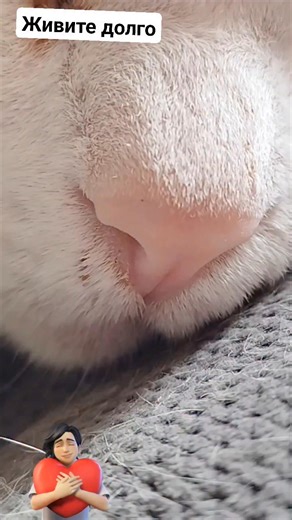 Daria Tsirulnikov on Instagram: "#dariart"