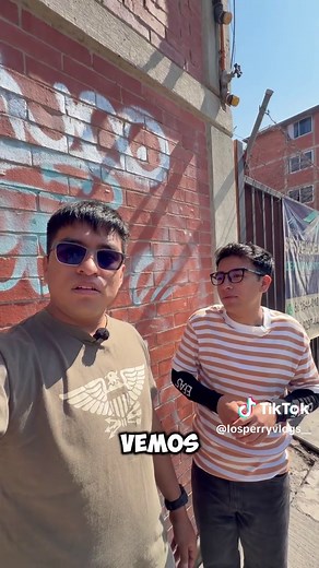 ¿Quien es mejor? GOKU O VEGETA #perryvlogs #avonzaba #losperryvlogs #sekee