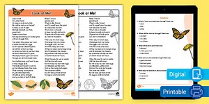 Differentiated Poetry Analysis Worksheet: Look at Me! Butterfly Metamorphosis