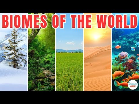 Planet Earth's Tapestry - A Journey Through Its Diverse Biomes (5 Minutes)