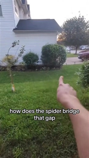 118K views · 5.6K reactions | Flying spiders  #funfacts | Beast Ajax | Facebook
