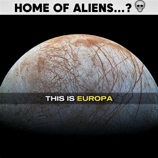 HOME OF ALIENS? ☠️