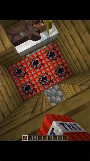 Minecraft Will The Villager Survive?😂 #minecraft #shorts