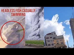 MOST STRANGEST UNEXPLAINABLE THINGS HAPPENING IN THE WORLD | DO NOT MISS THIS VIDEO