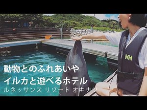 【沖縄】蒼い海にイルカが跳ねるマリンリゾート【ホテル ルネッサンス リゾート オキナワ】