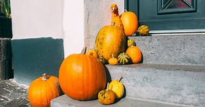 Pumpkin: Nutrition and Benefits