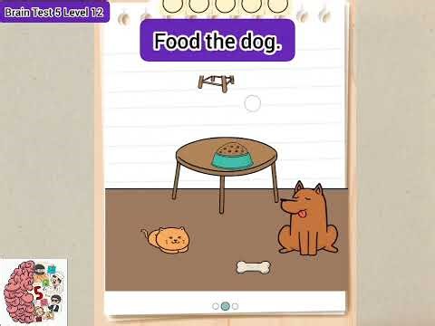 Brain Test 5 Level 12 Solution Walkthrough