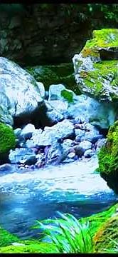 🌿 Peaceful Creek Sounds for Sleep | Relaxation, Meditation, Yoga & Focus
