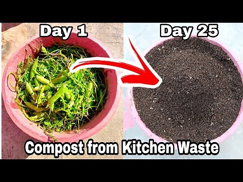 How to make compost from kitchen waste (Compost from Kitchen Waste)