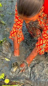 1.4M views · 5.4K reactions | Best mud fishing 2025 | MR Fishing Life | Facebook