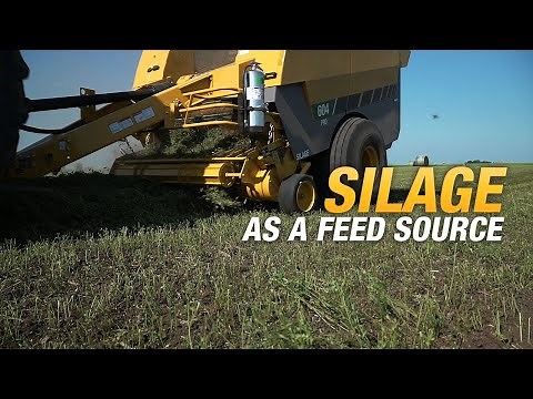 Silage as a feed source using Vermeer Pro balers
