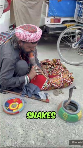 Have You Ever Wondered What Snake Venom Looks Like