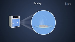 Video: Washing, Drying, and Ignition of Precipitates